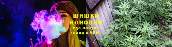 крисы Бородино